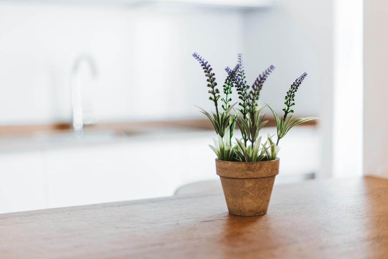 Apartamentos Mk77 Leon- Cantareros 외부 사진